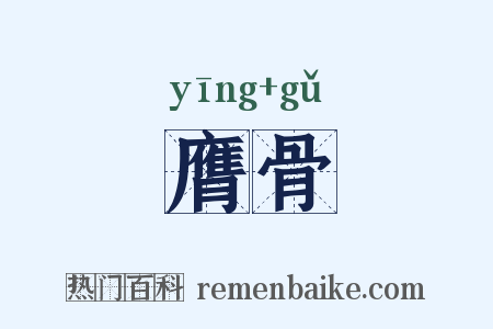 膺骨是什么意思的图片